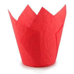 b83cd6743a987ae7f5a75bcdc49c1753